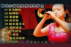 精选10首喜庆唢呐纯音乐《百鸟朝凤》《财神到》《庆丰收》