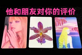 【粉丝投稿】他和他的朋友们对你的评价
