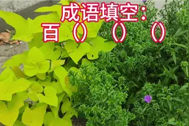 成语填空：百（）（）（）视频封面