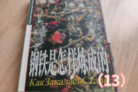 世界文学名著《钢铁是怎样炼成的》〔俄〕尼.奥斯特洛夫斯基 13
