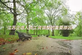 企退人员工资调整是实实在在的利好。视频封面