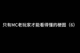 只有mc老玩家才能看得懂的梗图（6）