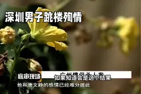 深圳男子跳楼殉情事件视频封面