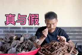 大家看看阿欢是怎么被骗的，以后买灵芝千万别再上当了，套路太深