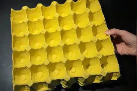 鸡蛋托一个都不要扔，这些用途太厉害了，便宜又省钱，方法太棒了视频封面