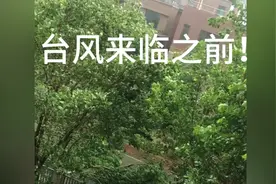 11号狂台“摩羯”肆虐海南文昌，现场随拍。视频封面