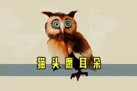 猫头鹰的耳朵里可以看到巨型眼球！