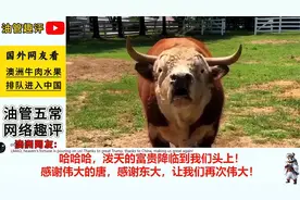 澳洲牛肉水果排队进入中国，感谢唐恩让我们再次伟大！视频封面