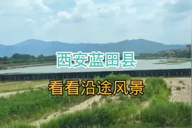 花2元坐西蓝旅游专线，去西安蓝田县城看看，没想到沿途风景真美视频封面