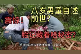 男孩胎记背后竟有前世记忆？真假？好奇！