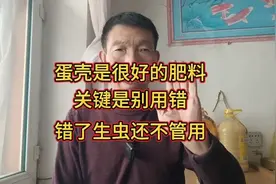 各种蛋壳就是很好的天然肥料，关键是要会用，错了生虫还不管用视频封面