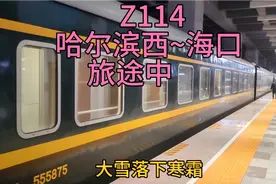 Z114哈尔滨西~海口看沿途大站随拍一路向南视频封面