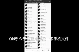 不装了 ！主要是因为不想装了！ 装不下去了 ，直接摊牌 ！！！视频封面
