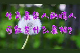 生肖属鼠人的情人可能是什么属相？视频封面