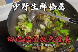 东北保姆大姐捎来野生鲜榛蘑，五花肉白菜辣椒炒榛蘑，记住方法！