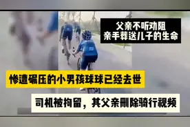 惨遭碾压的小男孩球球已经去世，司机被拘留太冤，父亲从不听劝阻视频封面