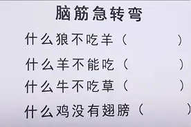 脑筋急转弯大全，什么狼不吃羊，什么羊不能吃，什么鸡没有翅膀？