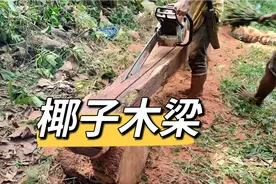 椰子木加工全过程，全程非常解压