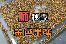 感谢恩师指引，银杏树的果实白杏仁，水煮后使用视频封面