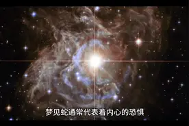 周公解梦:梦见被大蛇🐍追