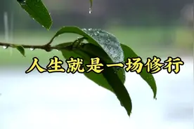 人生就是一场修行视频封面