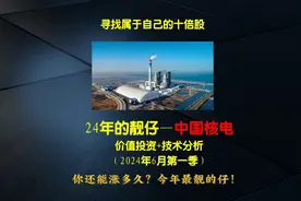 复兰论股之中国核电视频封面