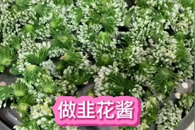 做韭花酱掌握一个保存方法，韭菜花颜色翠绿，味道香浓。真棒！