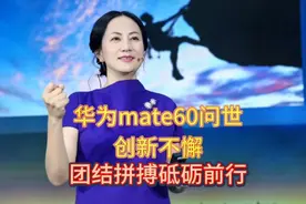 华为mate60再迟点问世，中国半导体产业链，就快要被蚕食殆尽了视频封面