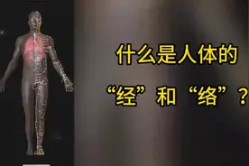 什么是人体的“经”和“络”？