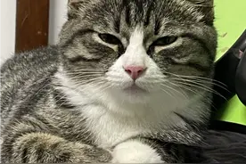 有那么亿点点长🙃🙃🙃视频封面