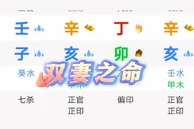 双妻之命！视频封面