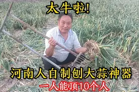 太牛啦！河南人自制刨大蒜神器，省力又刨的快，一个人能顶10个人视频封面