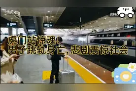 虎门站惊魂！男子跳轨身亡，悲剧震惊社会！视频封面