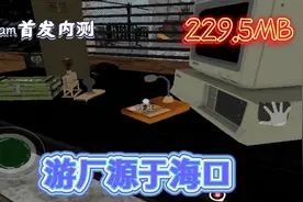 边境检察官真实模拟:画质一般，玩法有点儿让人摸不着头脑。视频封面