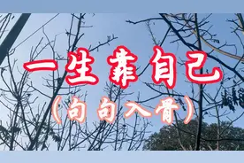 一生靠自己（句句入骨）视频封面