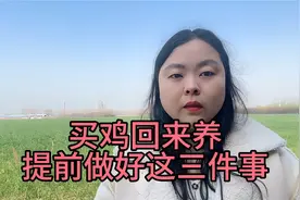 买鸡到家，问题不断，记住啦，鸡到家这样做，成活九成视频封面