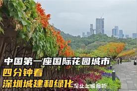 深圳为什么是中国第一座国际花园城市？四分钟看深圳的城建和绿化视频封面