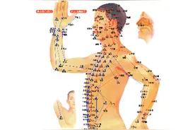 人体经脉穴位图视频封面