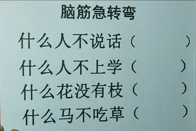 脑筋急转弯，什么人不说话，什么人不上学，什么马不吃草你知道吗