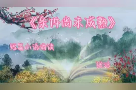 短篇小说诵读：《条件尚未成熟》，作者：张洁