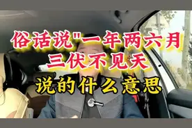 俗话说"一年两六月，三伏不见天"，说的什么意思？