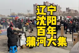 沈阳蒲河大集，个位数2.5.8开集，公交179路蒲河大道站下车就是视频封面