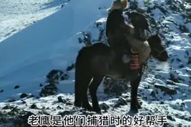 哈萨克族人熬鹰有多狠 #涨知识