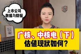广核，中核电（下）估值现状如何？视频封面