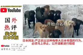 日本人怒了:请停止你们这种行为！柴犬八嘎狗火到国外。视频封面