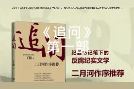《追问》反腐纪实文学作品，第一部《危情记》。