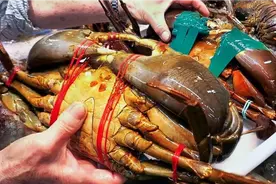 日本路边小吃 - 巨大泥蟹两种做法 冲绳海鲜