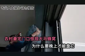 农村豪宅门口惊现大马蜂窝，为什么要晚上才能盘它，盘蜂窝全过程