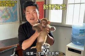河南新野猴子养殖场老板讲讲养猴的经验特点，真开眼界，涨知识了视频封面