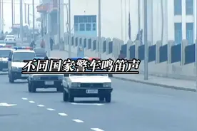 各国警车鸣笛对比大揭秘#科普#涨知识#有趣的知识#奇趣#趣味